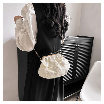 2024 NEW RETRO FAIRY Solid COLOR SMALL BAG BIAŁA RYCZY KASZEK PERŁOWA KASZEK DAMY NET YARN W SIMPLE CROSSBODY BAG