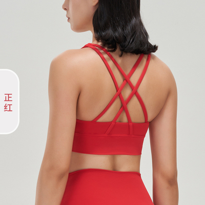 Dwóchstronne szczotkowane skrzyżowane plecy sporty bielizna odporna na wstrząsy push-up yoga sporty bra kamizelka fitness