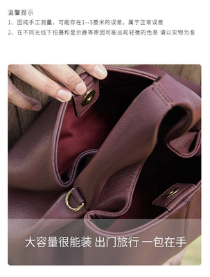 2024 NEW ALL-IN-ONE SOLID COLOR LUNCH BOX BAG EUROPA I Zjednoczone STANY MODA torebka jednokładowa