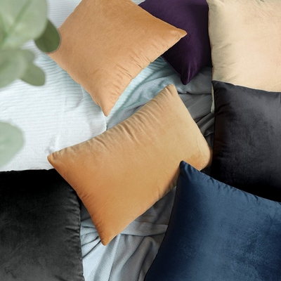NTBAY 2 Pack Zippered Velvet King Poduszki, Super Soft and Cozy Luxury Fuzzy Flannel Poduszki z Zipperem, 20x36