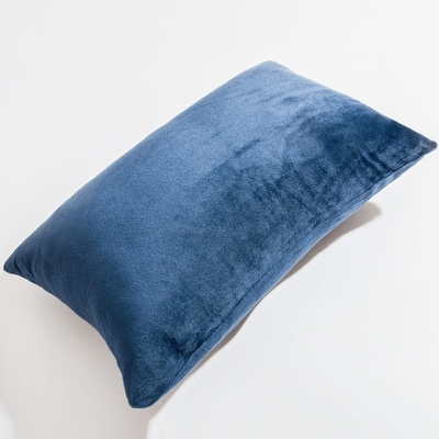 NTBAY 2 Pack Zippered Velvet King Poduszki, Super Soft and Cozy Luxury Fuzzy Flannel Poduszki z Zipperem, 20x36
