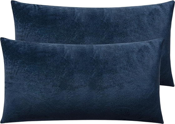 NTBAY 2 Pack Zippered Velvet King Poduszki, Super Soft and Cozy Luxury Fuzzy Flannel Poduszki z Zipperem, 20x36
