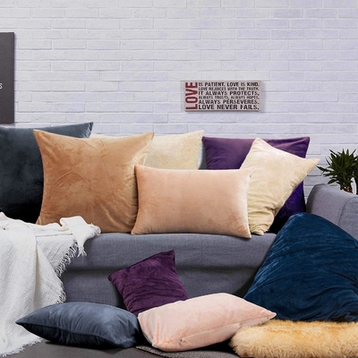 NTBAY 2 Pack Zippered Velvet King Poduszki, Super Soft and Cozy Luxury Fuzzy Flannel Poduszki z Zipperem, 20x36